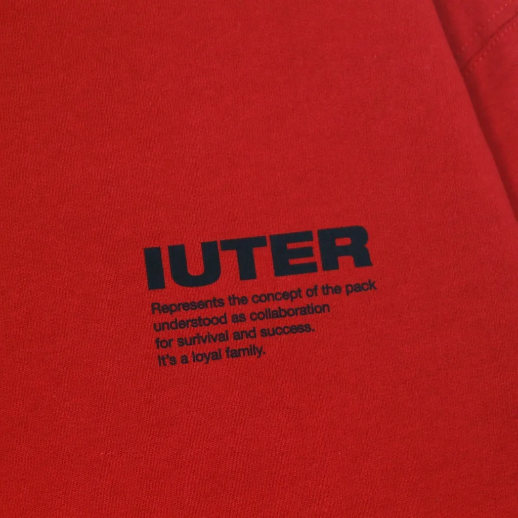 felpa girocollo uomo info crewneck RED