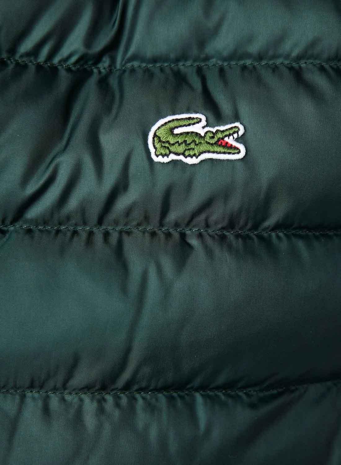 Gilet Lacoste Imbottito Verde per Uomo