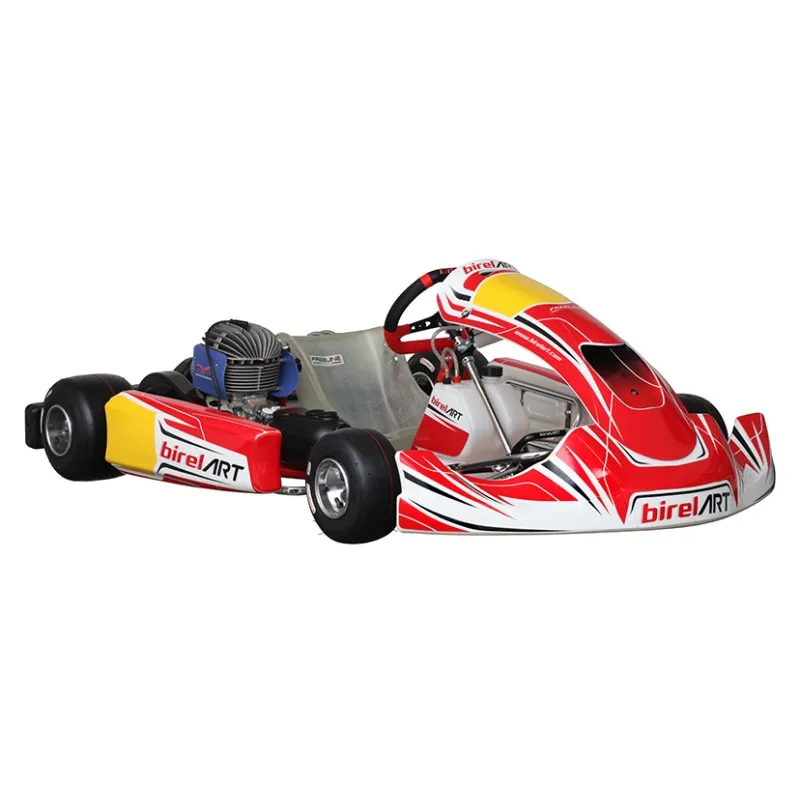 Kart completo Birel Easykart 100cc NEW!! in Offerta - Acquista da
